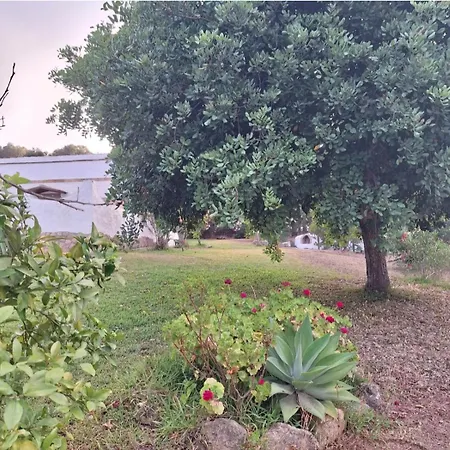 Santamaria Con Piscina Y Wifi Holiday home *